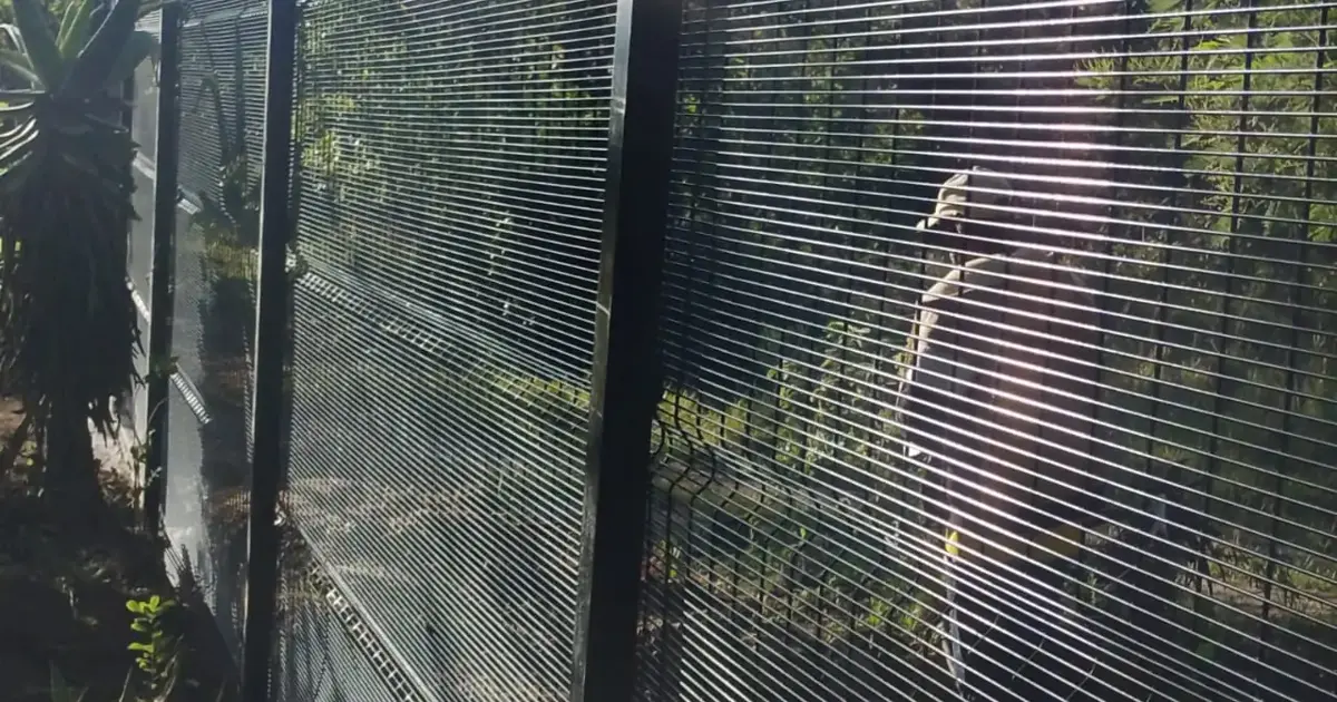 Azzar ClearVue anti-climb fence installed at a home in Zimbabwe