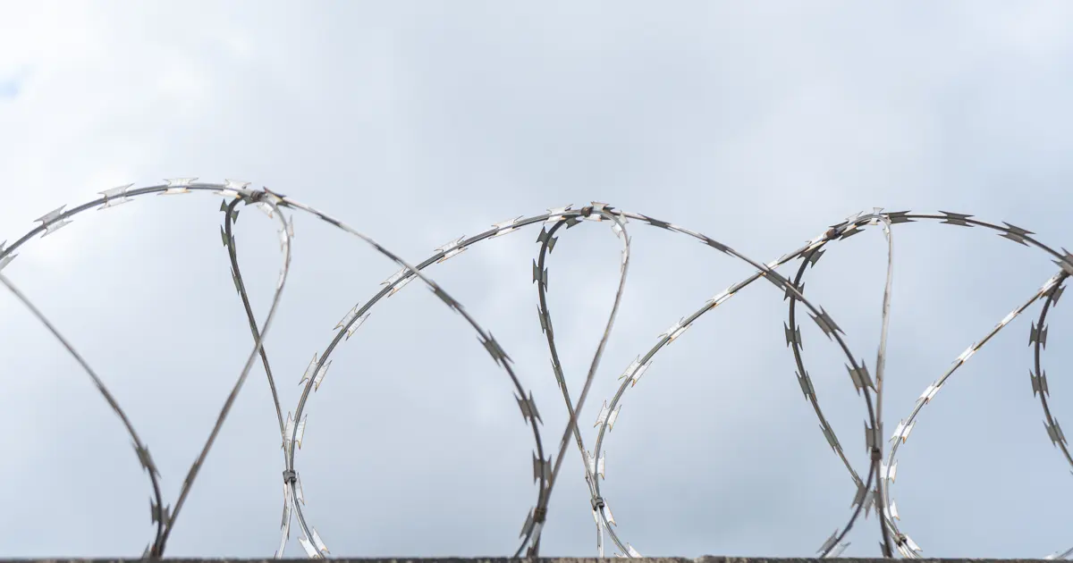 Razor wire coils on top of a boundary wall