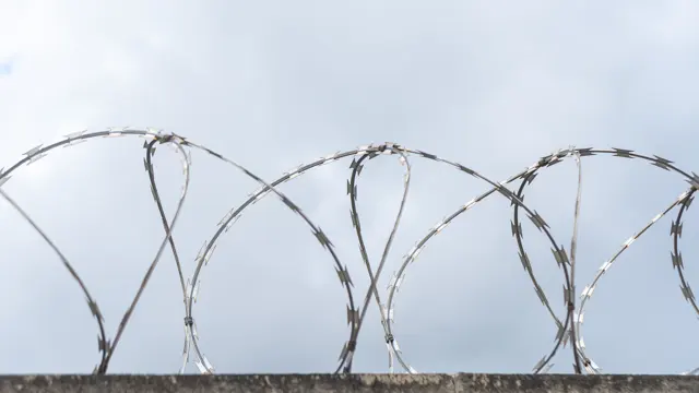 Razor wire coils on top of a boundary wall