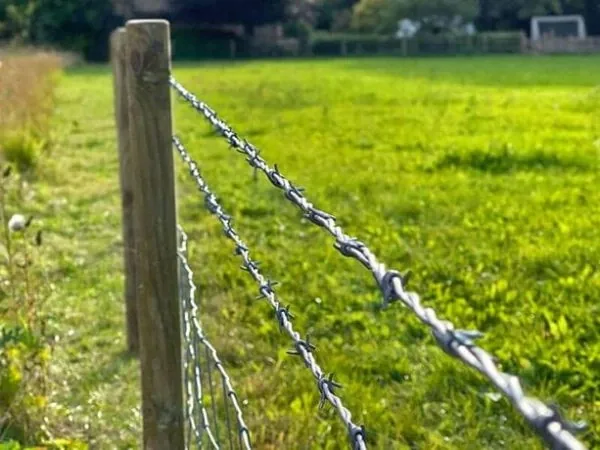 Agricultural barbed-wire boundary installed on timber posts