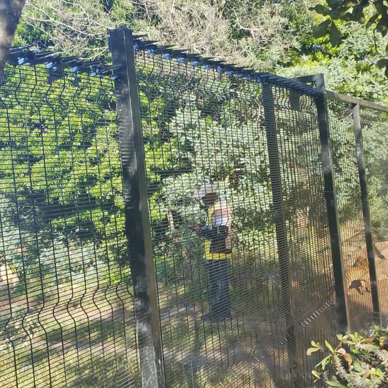 Azzar ClearVue high-security fence installation